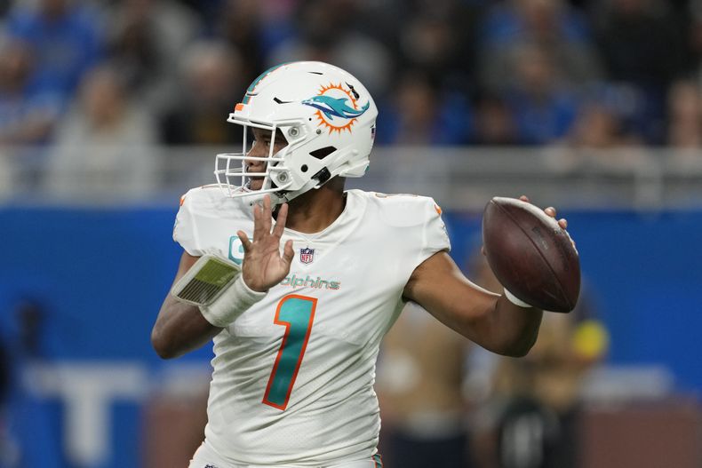 DEP-NFL DOLPHINS-LIONS