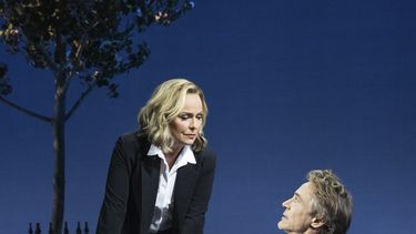 Melora Hardin, a la izquierda, y Robert Downey Jr. aparecen durante una representación de la obra de teatro McNeal, en Nueva York. (Matthew Murphy y Evan Zimmerman vía AP)