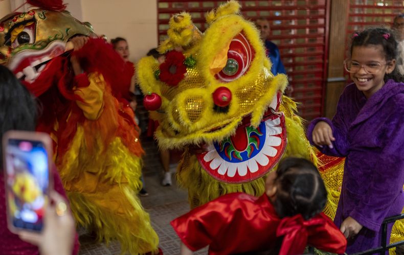 Un artista vestido de león asusta a una niña mientras participa en la danza tradicional del león al inicio de las celebraciones del Año Nuevo Lunar en La Habana, el martes 28 de enero de 2025. (AP Foto/Ramón Espinosa)