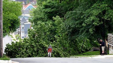 americateve | Residents observan un &aacute;rbol ca&iacute;do a causa de las tormentas provocadas por el hurac&aacute;n Arthur que derrib&oacute; l&iacute;neas de transmisi&oacute;n de electricidad  en Dartmouth, Nueva Esocia, Canad&aacute;. (Foto de AP/The Canadian Pr