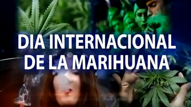 americateve | El tema de la legalización de la marihuana continúa siendo un debate.