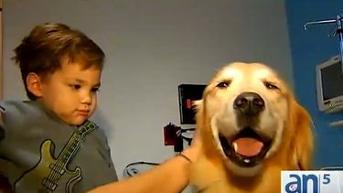 Nueva terapia con animales