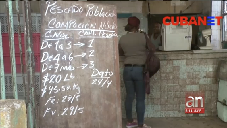 Screen Shot 2019-05-30 at 6.25.12 PM.png