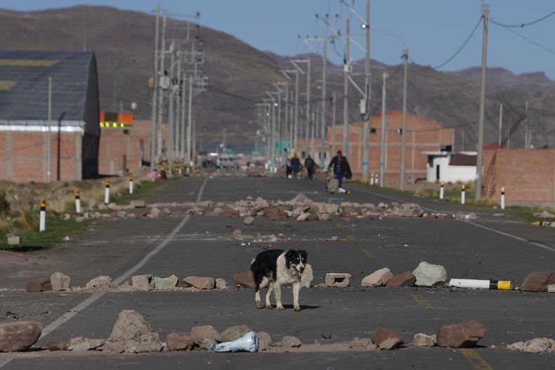 AMS-GEN PERÚ-PROTESTAS