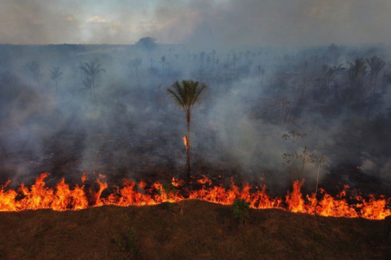 Incendios forestales se propagan cerca del municipio de Iranduba el viernes 2 de octubre de 2026, en el estado de Amazonas, Brasil. (AP Foto/Edmar Barros)