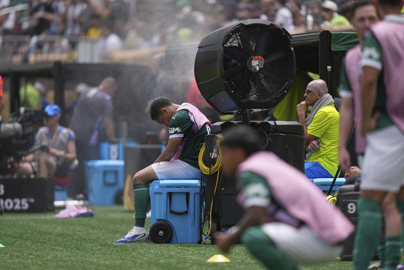 ARCHIVO - Vitor Roque de Palmeiras a un costado de la cancha tras ser sustituido en el partido contra Botafogo en los octavos de final del Mundial de Clubes, el 29 de junio de 2025, en Filadelfia. (AP Foto/Matt Slocum)
