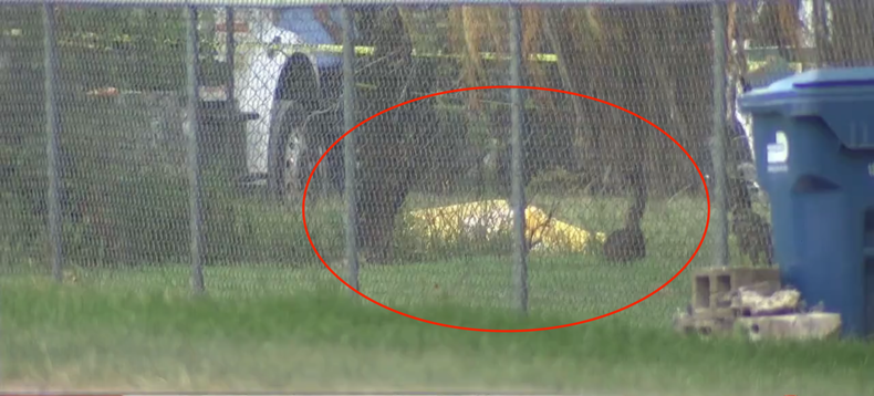 Screen Shot 2022-07-12 at 6.04.51 PM.png