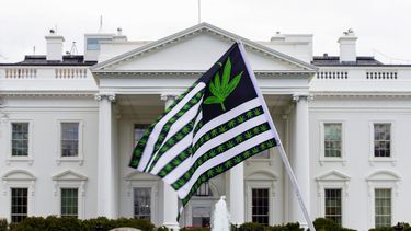 ARCHIVO - Un manifestante ondea una bandera decirada con hojas de marihuana durante una protesta por la legalización, frente a la Casa Blanca, Washington, 2 de abril de 2016. El presidente Joe Biden ha ordenado que miles de personas condenadas por consumo y posesión simple de marihuana en tierras federales y el distrito capitalino pueden solicitar su indulto, dijo la Casa Blanca el viernes 22 de diciembre de 2023. Es la ronda más reciente de indultos presidenciales destinados a rectificar disparidades raciales en el sistema judicial. (AP Foto/Jose Luis Magana, File)