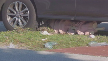 persecucion en hialeah termina en un accidente