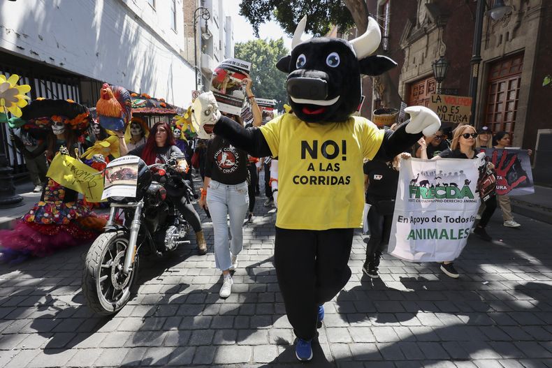 Un manifestante con una botarga de toro y una camiseta que dice No! a las corridas protesta frente al Congreso de la Ciudad de México, donde se espera que los legisladores debatan sobre su continuación, en Ciudad de México, martes 18 de marzo de 2025. (AP foto/Ginnette Riquelme)