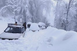 pakistan: mueren 22 personas tras nevada