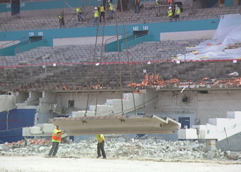 estadio dolphins.png