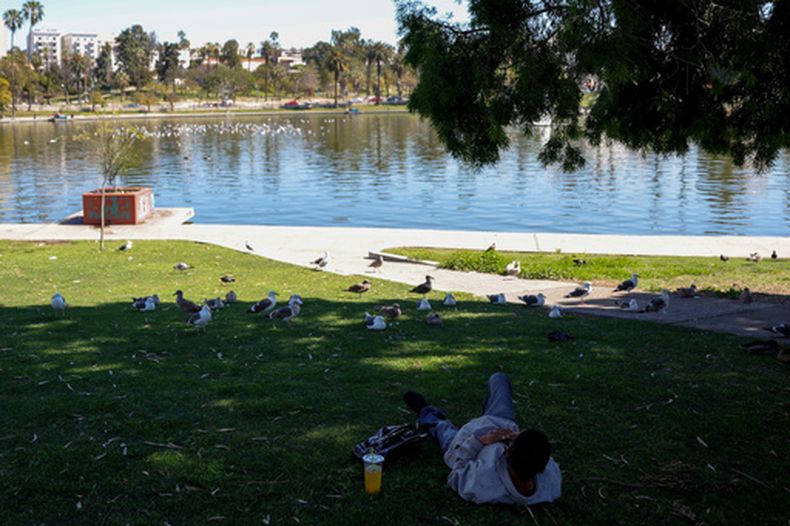 ARCHIVO - Un hombre descansa a la sombra durante un día caluroso en MacArthur Park, el 12 de marzo de 2026, en Los Ángeles. (AP Foto/Ryan Sun, archivo)