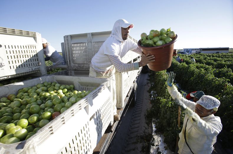 AMN-INM_FLORIDA-AGRICULTORES-0.jpg