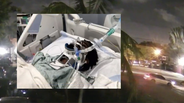 buscan a conductor que atropello a un hombre y mato a a un perro en miami