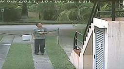 exhibicionista aterroriza coral gables