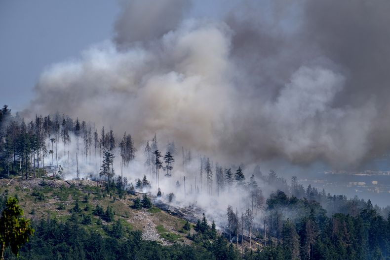 ARCHIVO - Árboles arden en la cima de la montaña Altkoenig, cerca de Fráncfort, Alemania, el lunes 12 de junio de 2023, como parte de los incendios forestales avivados por condiciones atribuidas al cambio climático que se registra en Europa. (AP Foto/Michael Probst, archivo)