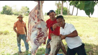 el camino oculto de la carne en cuba