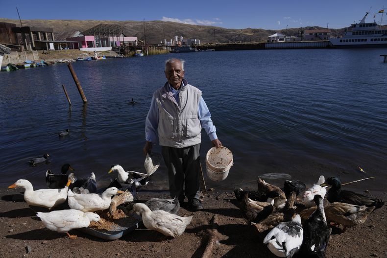 AMS-GEN BOLIVIA-PATOS ADOPTADOS