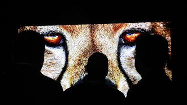 La feria tecnológica CES será virtual debido al coronavirus