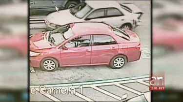 robo de autos en miami sigue haciendo titulares