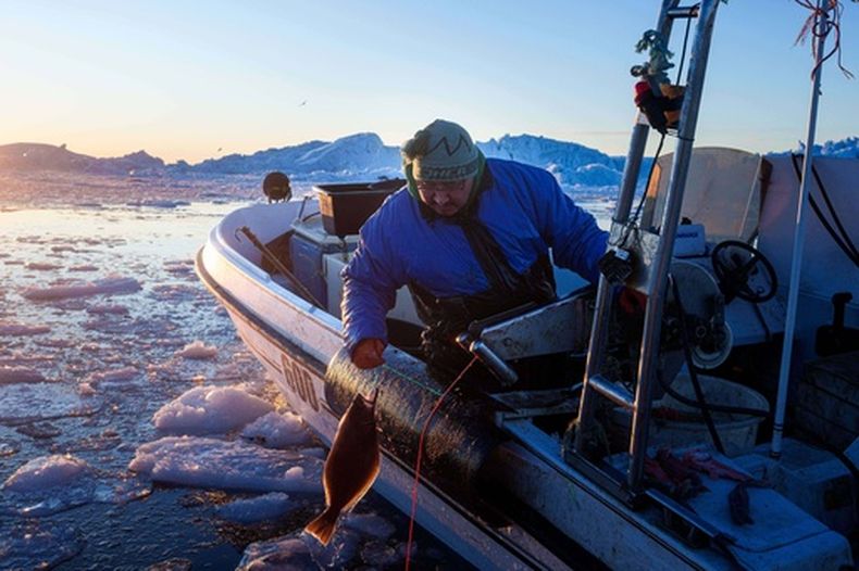 Un pescador captura un pez en Disko Bay, cerca de Ilulissat, Groenlandia, el 28 de enero de 2026. (AP Foto/Evgeniy Maloletka)