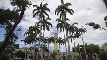 la universidad de puerto rico iniciara el semestre a distancia