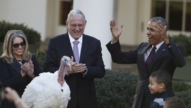 obama perdona al pavo dia de accion de gracias