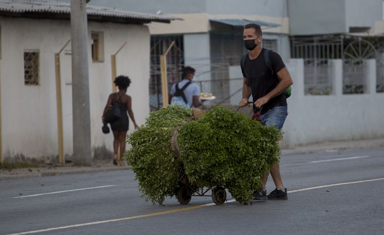 CAR-GEN CUBA-PREDICCIONES