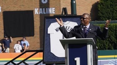 Tigres apalean 9-1 a Rays; Castro empuja 2 y anota 2