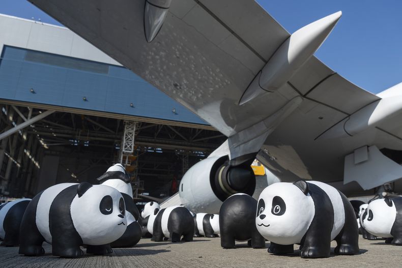 Esculturas de osos panda en el Aeropuerto Internacional de Hong Kong, como parte de la exposición Panda Go!, el 2 de diciembre del 2024. (AP foto/Chan Long Hei)