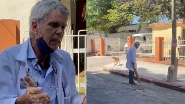 multan con 1,500 pesos a medico cubano que golpeo a perrita en la habana