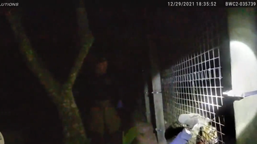 video: policia abate a tigre que ataco a hombre en zoo de naples