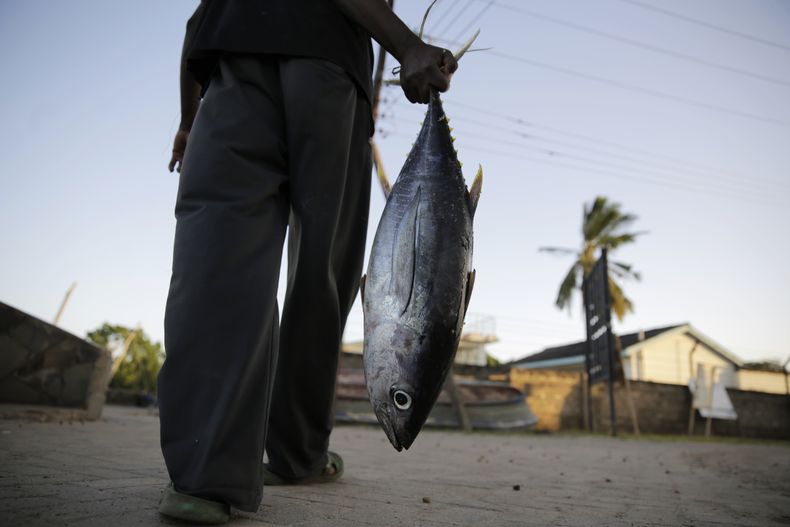 ASI-GEN OCÉANO ÍNDICO-PESCA