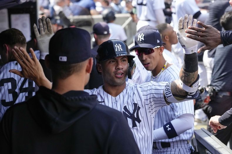 El venezolano Gleyber Torres de los Yanquis de Nueva York celebra en el dugout tras conectar un jonrón solitario en la octava entrada del encuentro ante los Astros de Houston el sábado 5 de agosto del 2023. (AP Foto/Mary Altaffer)