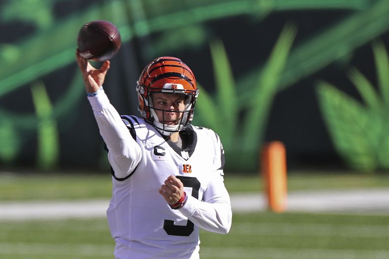 DEP-NFL_TITANS-BENGALS-0.jpg