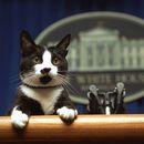 Hay una vacante en la Casa Blanca: la mascota presidencial