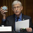 ARCHIVO- El doctor Francis Collins, director de los Institutos Nacionales de Salud (NIH), sostiene un modelo de COVID-19, conocido como coronavirus, durante una audiencia del subcomité de Asignaciones Presupuestarias del Senado sobre el plan para investigar, fabricar y distribuir una vacuna contra el coronavirus, conocida como Operación Warp Speed, el jueves 2 de julio de 2020, en el Capitolio en Washington. (Saul Loeb/Pool foto via AP, archivo)