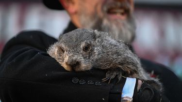 El cuidador del Club de la Marmota, A.J. Dereume, sostiene a Punxsutawney Phil, la marmota que pronostica el clima, en el 140º Día de la Marmota, en Gobblers Knob, Pensilvania, el lunes 2 de febrero de 2026. Los cuidadores de Phil dijeron que la marmota pronosticó seis semanas más de invierno. (Foto AP/Barry Reeger)