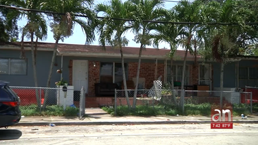 pelea entre dos hombre por un perro en miami termina a machetazos