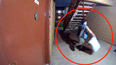 repartidora cubana de amazon lanza un paquete y se vuelve viral: si esta roto, llama a amazon