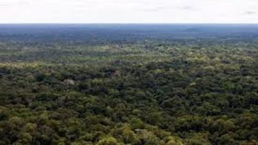 la madre de los ninos rescatados de la selva en colombia estuvo cuatro dias viva