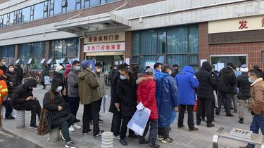 OMS a gobiernos: prepárense para brotes locales de virus