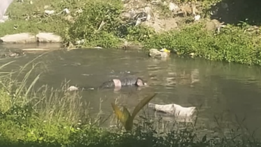 el cadaver de un hombre aparece en el rio de la palma, en la habana