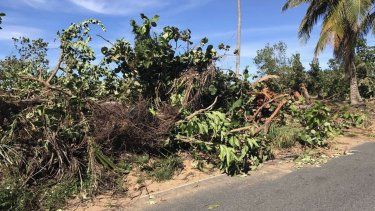 Encuentran un cuerpo parcialmente calcinado cerca de la playa Vacía Talega en Piñones