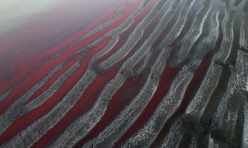 Las orillas del Río de la Plata se tiñen de rojo en la desembocadura del arroyo Sarandí, cuyas aguas están manchadas por contaminantes desconocidos, en las afueras de Buenos Aires, Argentina, el jueves 6 de febrero de 2025. (AP Foto/Rodrigo Abd)