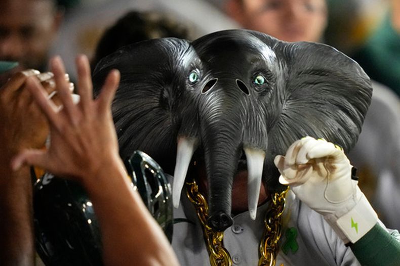 Con una máscara de elefante, Jeff McNeil festeja en la cueva de los Atléticos tras conectar un jonrón ante los Angelinos de Los Ángeles, el miércoles 20 de mayo de 2026 (AP Foto/Mark J. Terrill)