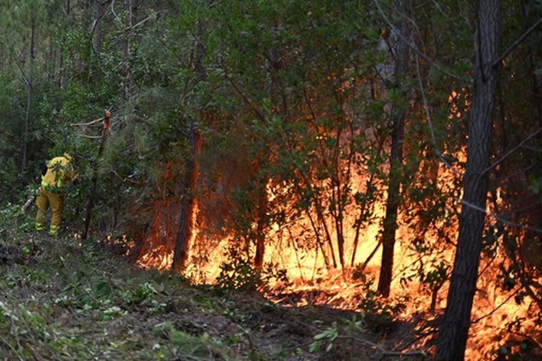 Un bombero crea un área de incendio controlado para contener un fuego cerca de Lege-Cap-Ferret, durante los incendios forestales ocurridos en el suroeste de Francia, el jueves 30 de julio de 2026. (AP Foto/Emma Da Silva)