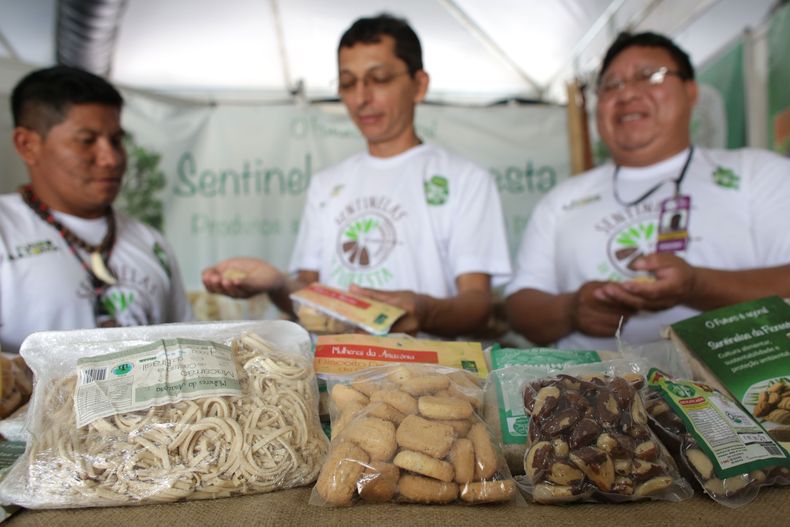 REP-GEN_BRASIL-AMAZONIA-NUEZ-0.jpg