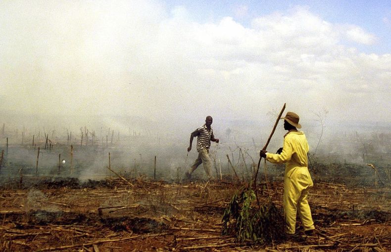 ARCHIVO – Invasores de tierras agrícolas de Zimbabue queman un campo de cultivos en pie en la Granja Chirobi, a unos 70 kilómetros (43 millas) al norte de Harare, el 11 de noviembre de 2000. (AP Photo, File)